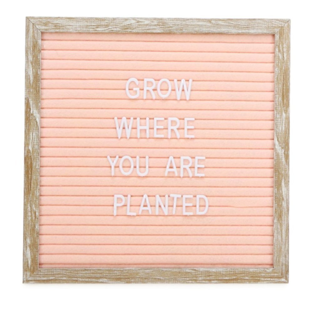 Cafe Felt Letterboard NWT 10in Peach/Wood Frame Instagram Influencer Baby Pet